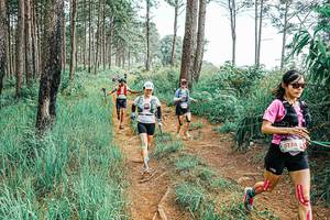 BIB: 
                            <button type="button" onclick="openModal(25654817)" class="btn btn-primary btn-sm float-right btn-popup" data-toggle="modal" data-target=".modal-high-quality">
                        <i class="fas fa-shopping-cart"></i> Add to Cart
                    </button>
                                            <button type="button" onclick="isThisMe(25654817, true)" class="btn btn-success btn-sm float-right btn-popup btn-isme hidden" data-toggle="tooltip" data-placement="bottom" title="นี่คือรูปของคุณใช่ไหม คลิกที่นี่เพื่อเอาเข้าอัลบั้ม">
                        <i class="fas fa-plus"></i> Add to album
                    </button>
                    <button type="button" onclick="isThisMe(25654817, false)" class="btn btn-warning btn-sm float-right btn-popup btn-isnotme hidden">
                        <i class="fas fa-ban"></i> Remove from album
                    </button>